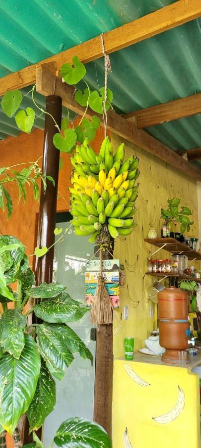 Tenda Da Lua Alto Paraiso de Goias Ngoại thất bức ảnh