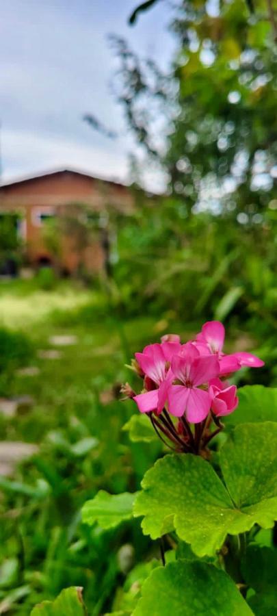 Tenda Da Lua Alto Paraiso de Goias Ngoại thất bức ảnh